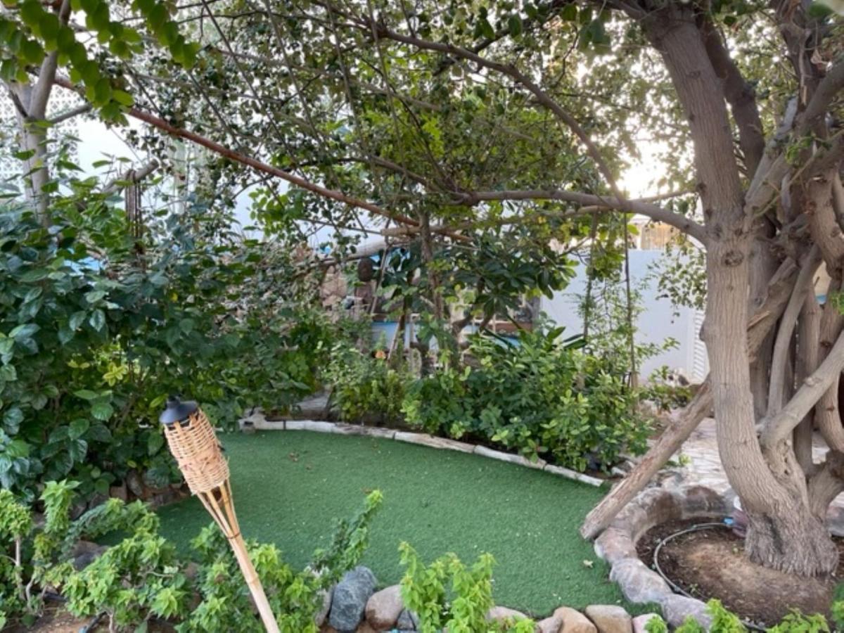 Alhosani Property Abu Dhabi Eksteriør bilde