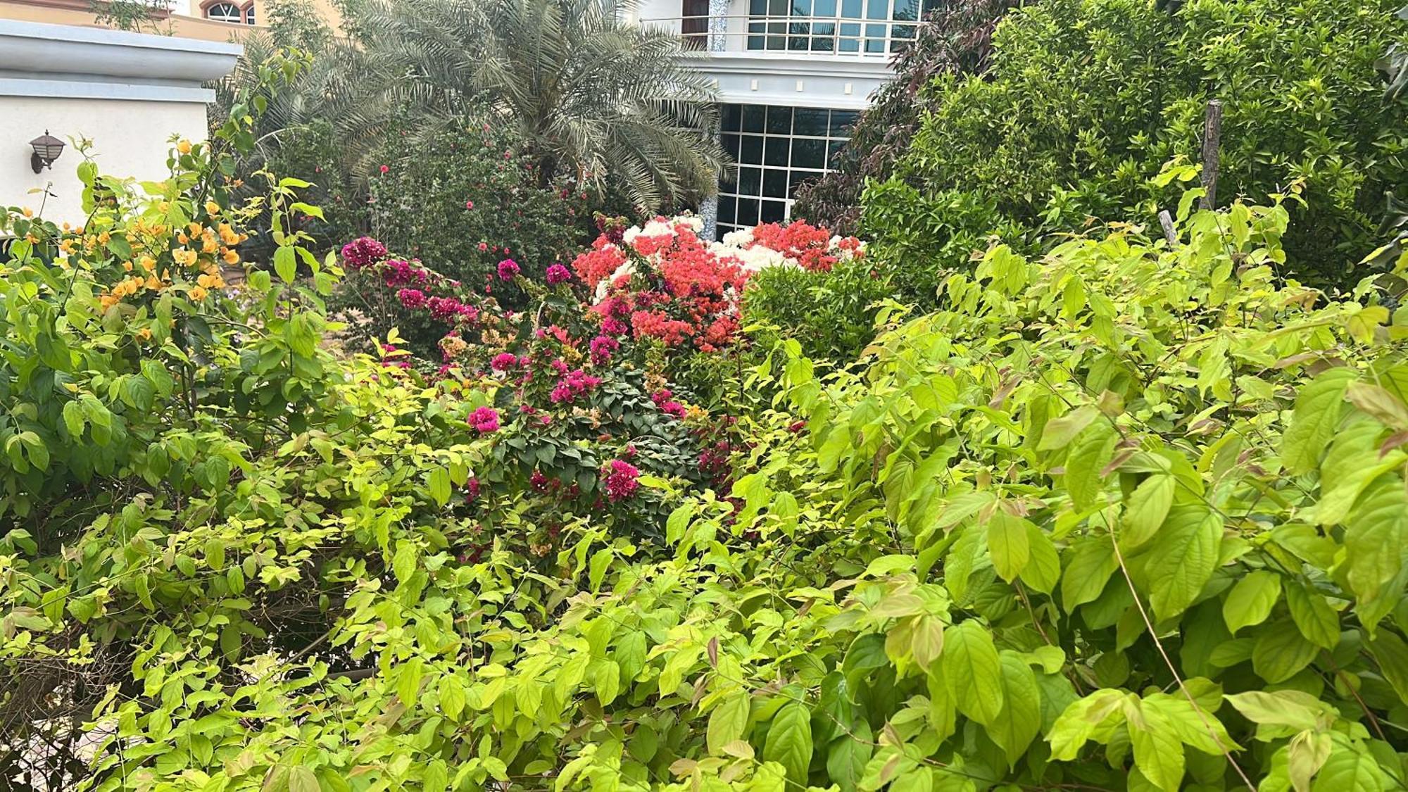 Alhosani Property Abu Dhabi Eksteriør bilde